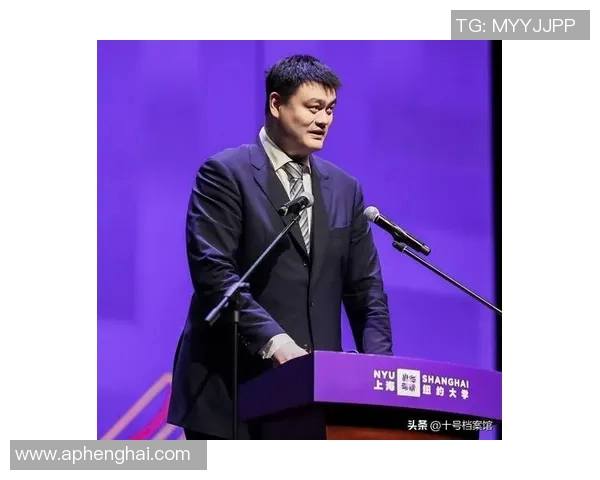 姚明职业生涯数据分析与转型之路探讨 姚明职业生涯数据分析与转型之路探讨