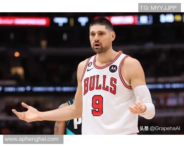 灰狼队球员伤病成谜，球队备战新赛季